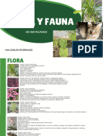 Flora y Fauna