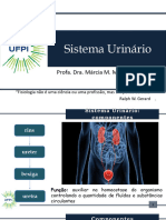 Sistema Urinario