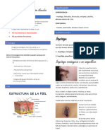 Infecciones de La Piel y Partes Blandas