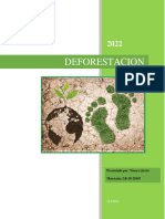 Investigación Deforestación Yini