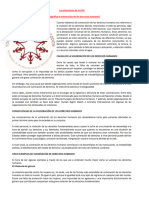 Taller de Catedra Ciclo Iv