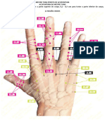 Mestre Tung Pontos de Acupuntura - Completo