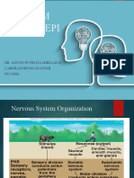 Sistem Saraf Anung Farmasi 2021