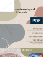 Hydrometeorological (Autosaved)