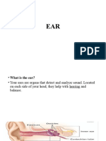 Ear