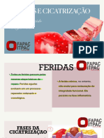 2 Cicatrizaçao e Feridas