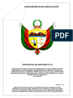 Términos de Referencia: Municipalidad Distrital de Samuel Pastor