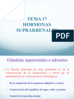 Tema 17 Suprarrenales