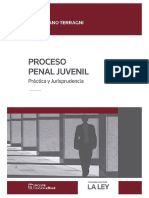 Proceso Penal Juvenil