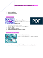 Protozoarios Oportunistas y