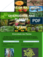 Diversidade Nas Plantas 5 º Ano