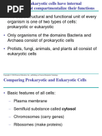 Cell 3