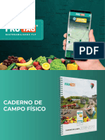 FRUTAG - Caderno de Campo