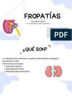 Nefropatías