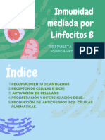 Inmunidad Mediada Por Linfocitos B