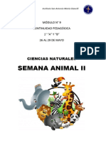 Secuencia Didáctica - Los Animales - Vertebrados e Invertebrados - Seres Vivos