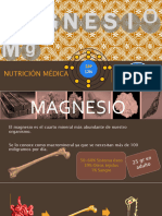 Magnesio 151119192844 Lva1 App6891