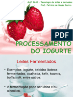 Aula 10 Processamento de Iogurte