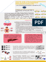 Xcaan Biología