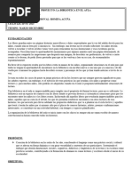 PDF Documento