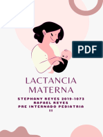 Tarea Lactancia Materna