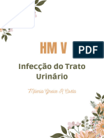 Infecção Do Trato Urinário - HM V