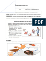 5° Básico Ciencias Naturales Guía Niveles de Organización Biológica