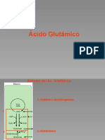 Glutamatérgico