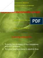 Lecture 6 Oxidative Phosphorylation