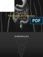 Aula 3-Patologias Do Intestino 2021