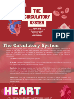 The Circulatory System 