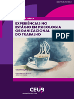 E-Book - Experiências No Estágio em Psicologia Organizacional