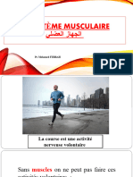 Le Systeme Musculaire Serie D Exercices PPT 2