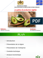 Abadou Avocatier