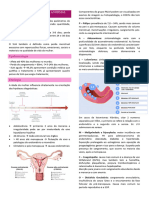 Sangramento Uterino Anormal (SUA)