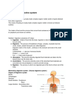 Digestion & Digestive System