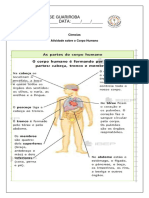 Corpo Humano Atividade