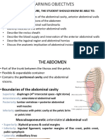 Abdominal Walls - HB 2