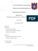 Informe de Práctica Organismos de Importancia para La Biotecnología Vegetal