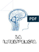 Informe de Psicologia