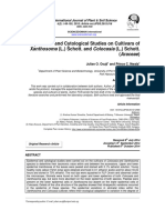 Epidermal and Cytological Studies On Cul