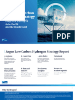 Argus Low Carbon Hydrogen Strategy Report Sample