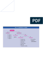 Pyridoxine and Biotin and Pantothenic Acid