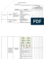 Plan de Terapia Individual