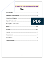 Rapport de Sortie de SIDI - ADESLAM