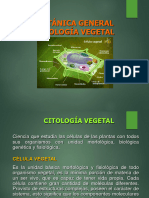 Citologia Vegetal