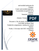 Producto Final Sistema de Control Interno