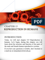 Term I - Chapter 15 Core