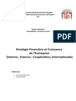 Stratégie Financière Et Croissance de L'entreprise (Interne - Externe - Coopération - Internationale)