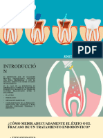 El Exito en Endodoncia - Dajm